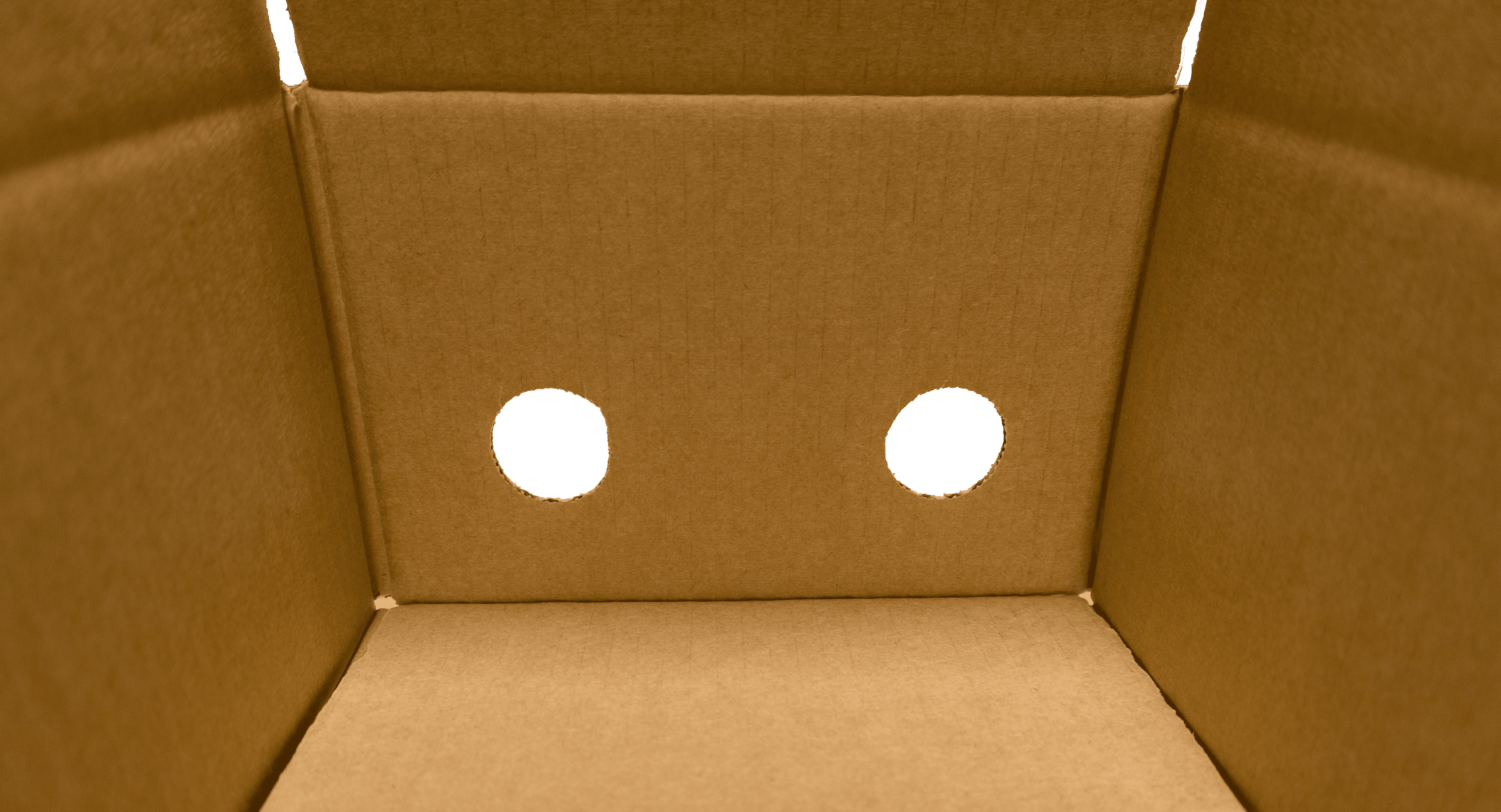 Particolarifustellati2