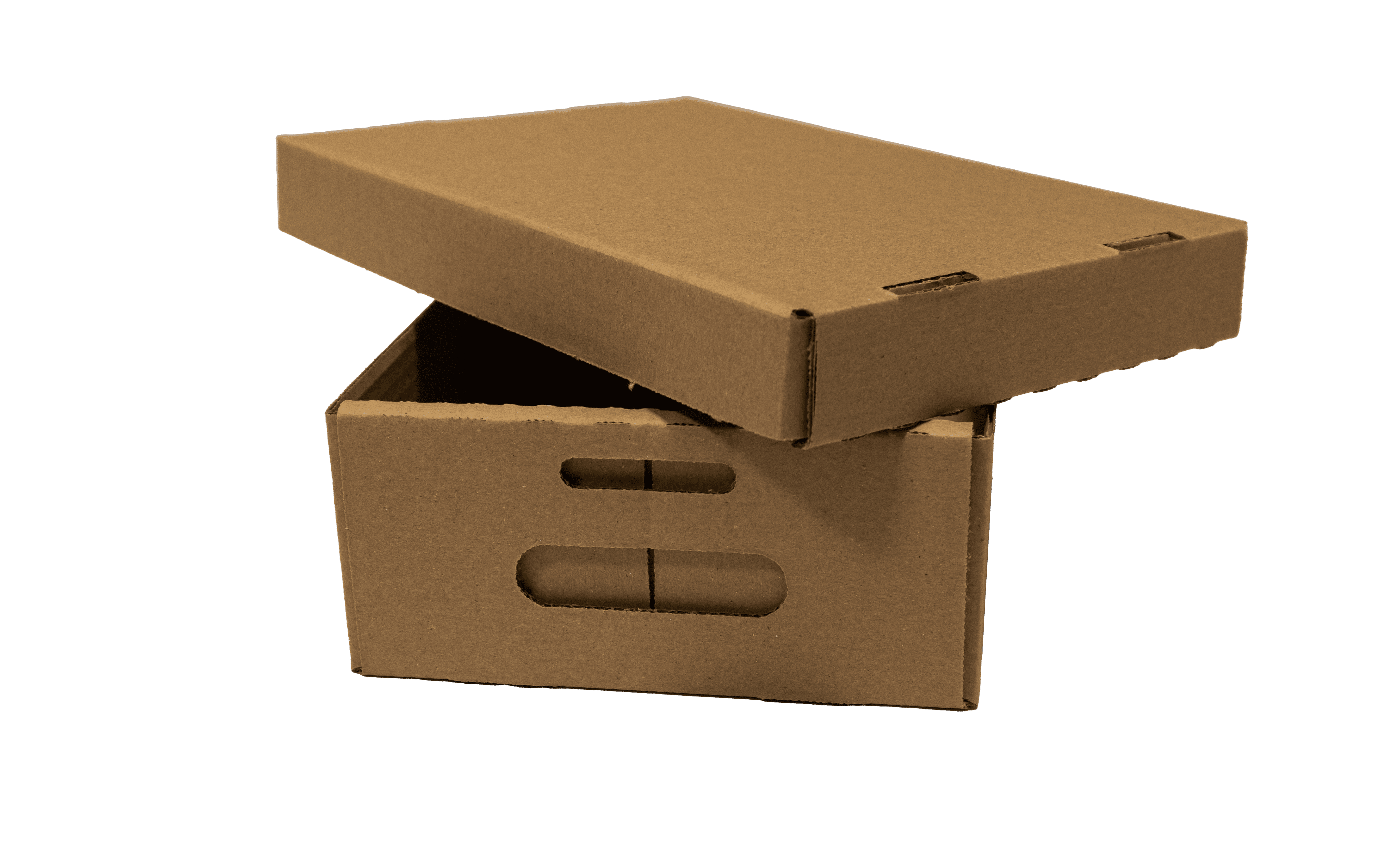 Scatola Con Coperchio