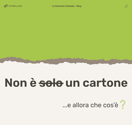 Non È Solo Un Cartone E Allora Che Cosa È Gpimballaggi© (3)