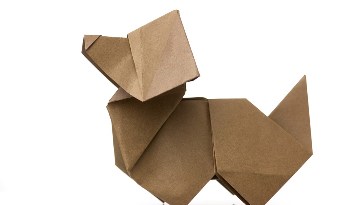 GP IMBALLAGGI Cartone Ondulato Nella Cultura Pop