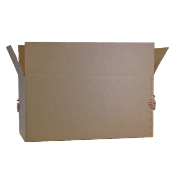 Palbox Cartone Grande Con Delle Mani Che Lo Afferranno Da Dietro
