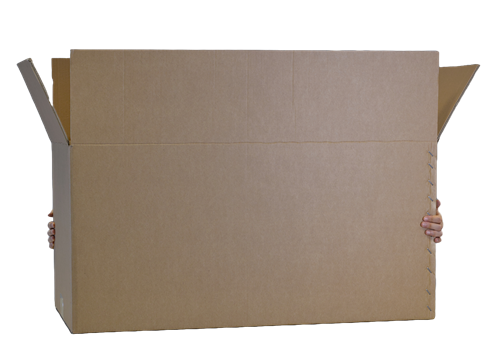 Palbox Cartone Grande Con Delle Mani Che Lo Afferranno Da Dietro