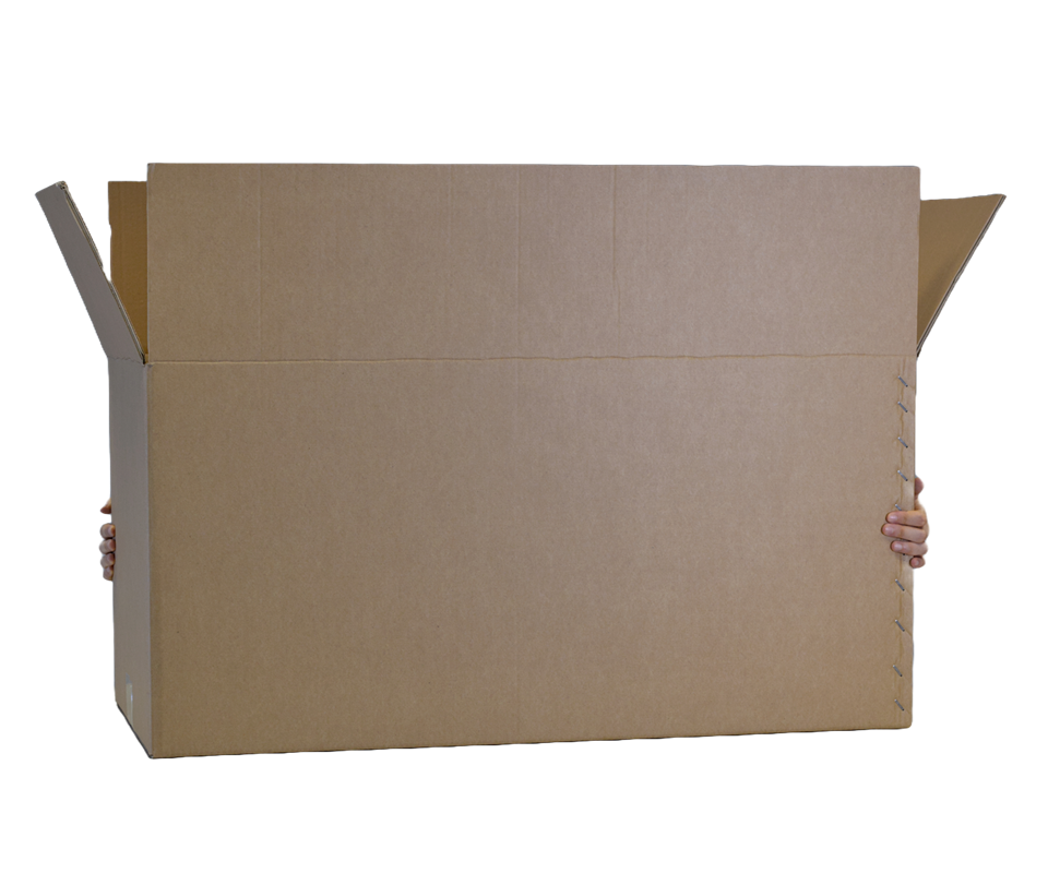 Palbox Cartone Grande Con Delle Mani Che Lo Afferranno Da Dietro