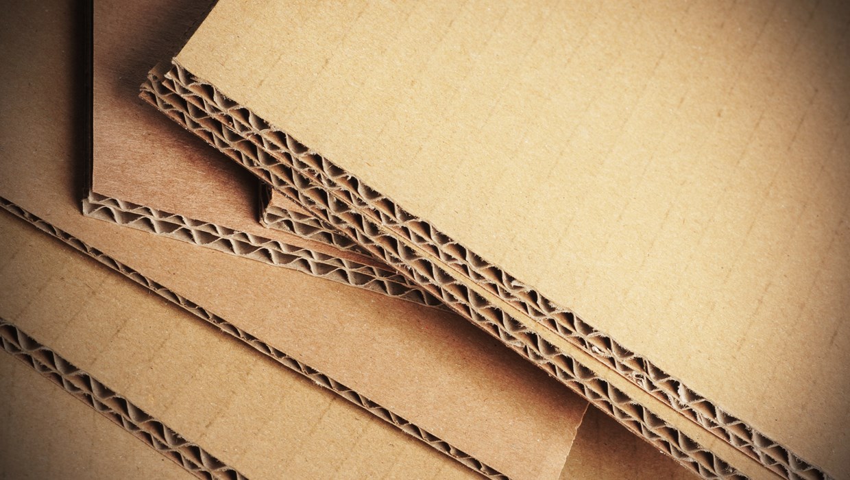 Packaging Cartone