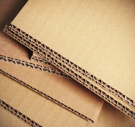 Packaging Cartone
