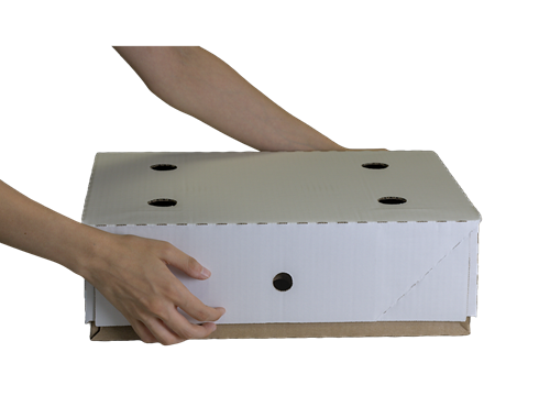 Scatola Fondo Avana Coperchio Bianco Con Fori Che Si Apre Delicatamente