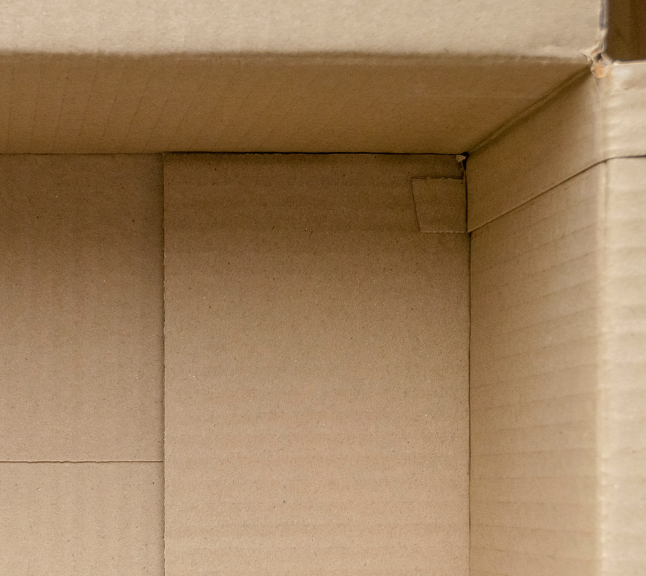 Prolungamento Patella