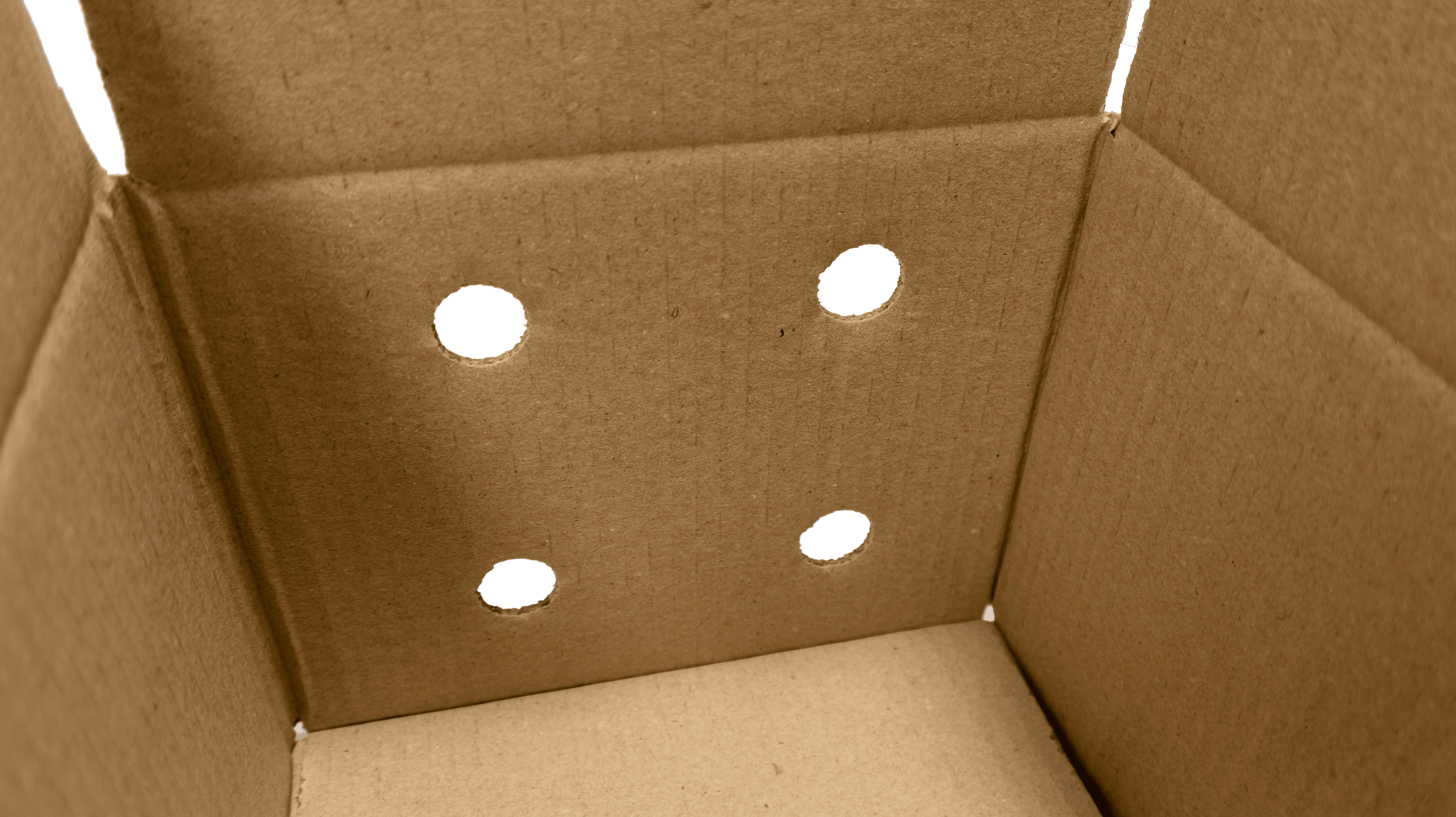 Particolarifustellati