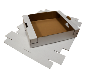 Progetto Senza Titolo Removebg Preview