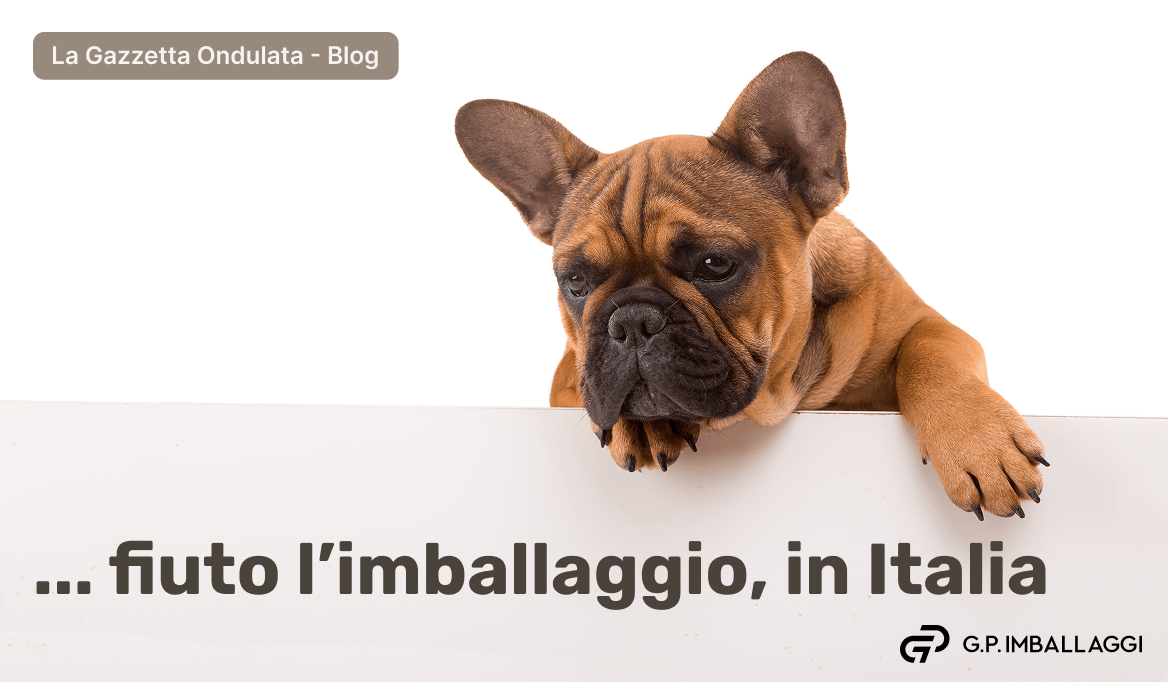 Blog Fiuto Imballaggio In Italia Con Un Cane Sopra Una Scatola Min